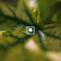 Manifest - Single - Autumn Keys