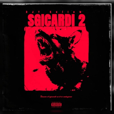 Sgicardi 2 - EP