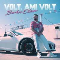 Volt, ami volt