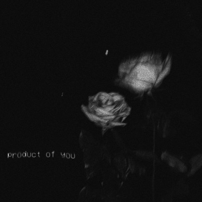 Product of You
