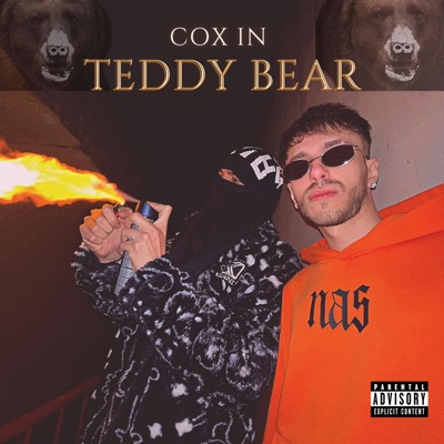 Cox in Teddy Bear (feat. FIGI) - Single