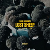 Lost Sheep Deluxe artwork