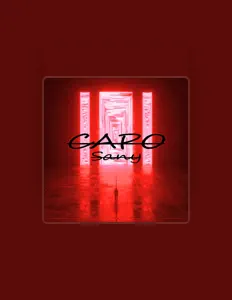 Sanyを聴いたり、ミュージックビデオを鑑賞したり、経歴やツアー日程などを確認したりしましょう！