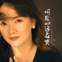 听见心还在哭 - Single - 柏文
