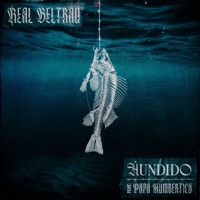 Hundido (2016) (feat. Papá Humbertico) - Single - Real Beltran