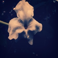 Running - Single - Nicobé