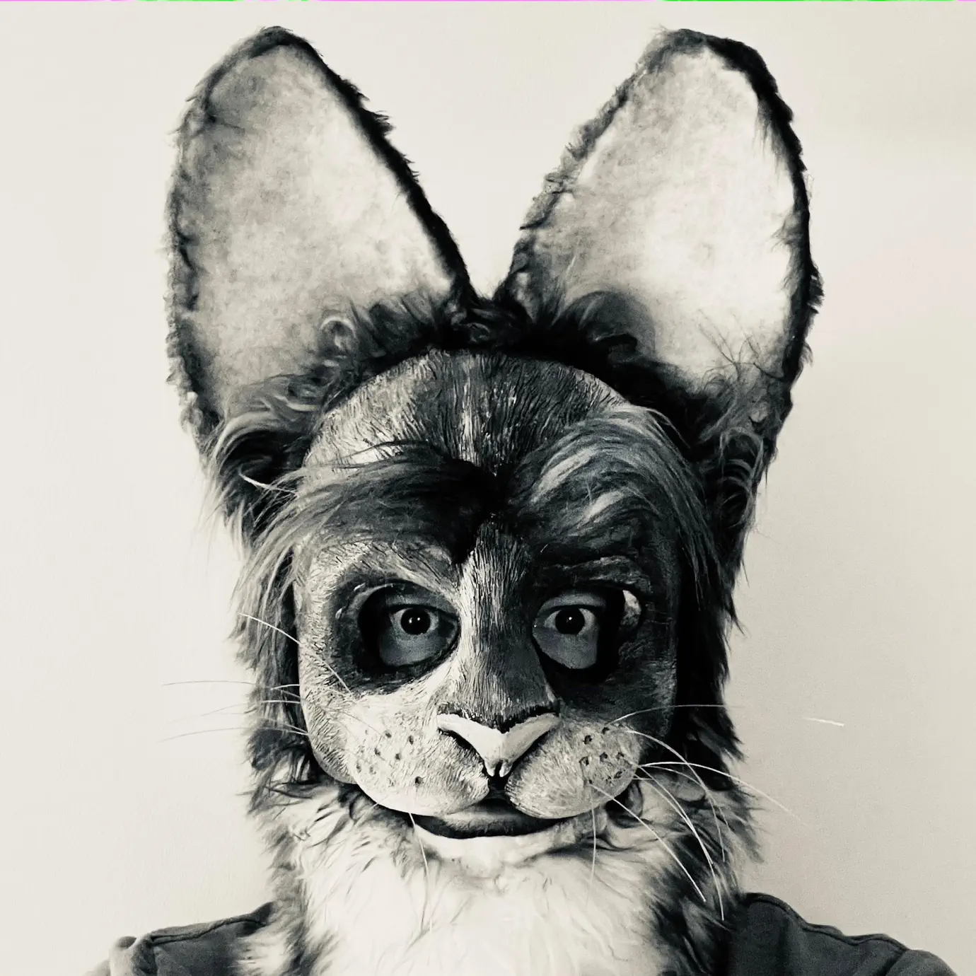 Neko fuzz. Neko fuzz. Blu arc pale pink haired neko girl. Neko fuzz. Neko fuzz.