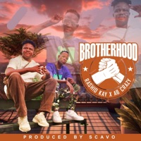 Brotherhood - Single (feat. AB Crazy) - Single - Rashid Kay