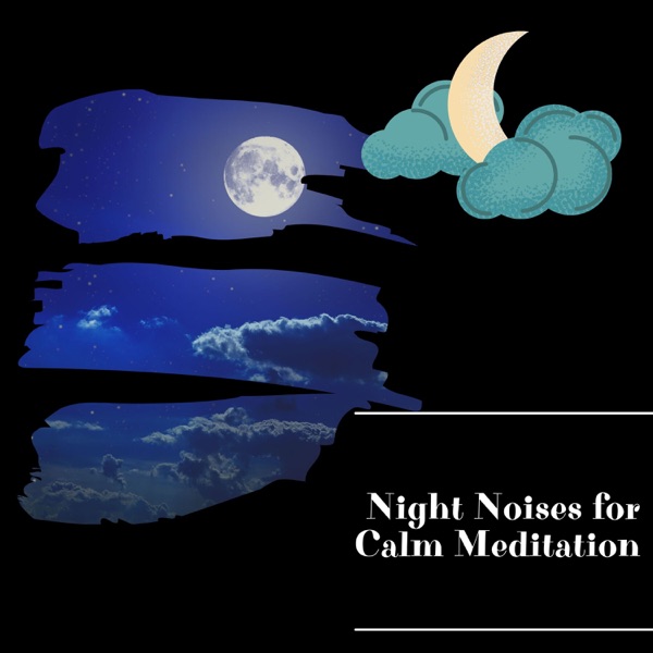 Night Noises for Calm Meditation