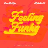 Feeling Funky artwork