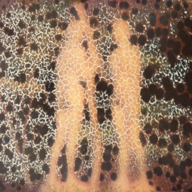 Turing Tested Artists (feat. Skeptik) Wormwood Nowa