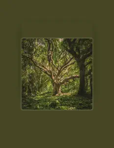 收听 SixTrez、观看音乐视频、阅读小传、查看巡演日期等 ！