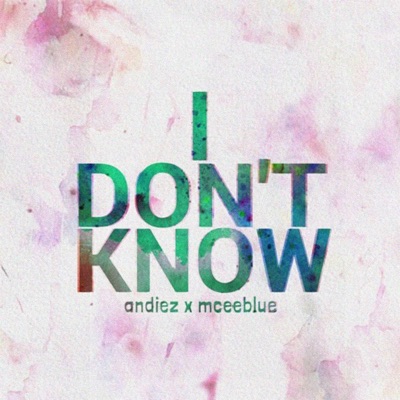 I Don't Know - Single