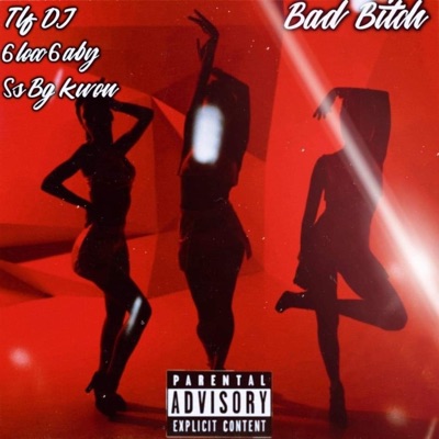Bad Bitch (feat. TLF DJ & 6locc6a6y) - Single