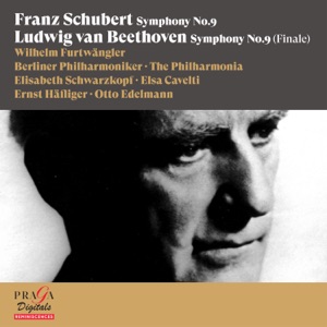 Symphony No. 9 in D Minor, Op. 125: IV. Finale. Presto - O Freunde, nicht diese Töne' - Allegro assai (Ode to Joy)