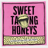 Sweet Talking Honeys (feat. Max Tuohy) artwork