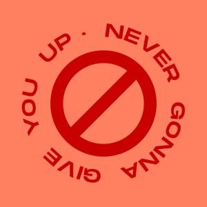 Never Gonna Give You Up - Single