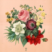 Who Else - Single - aloe.401 & Gus Benson