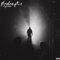 Flashes, Pt. 2 - Single - elguuh213