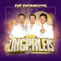 Viva De Romeo's XL