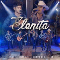 Elenita (En vivo) - Single - Rodrigo Guerrero & La Bertiniza De Culiacan