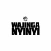 Wajinga Nyinyi - Single