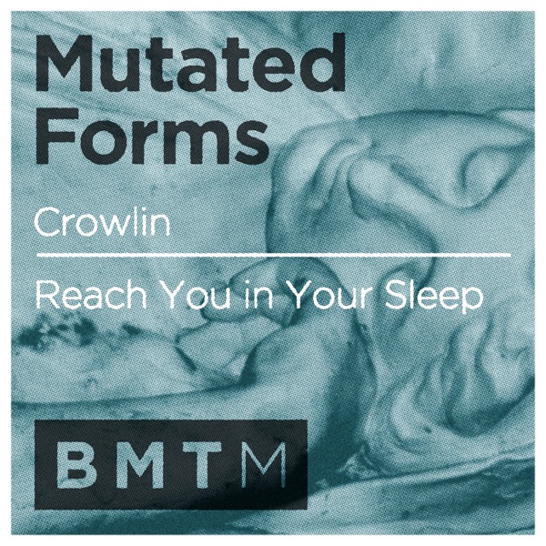 Crowlin / Reach You in Your Sleep - Single