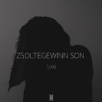 Zsoltegewinn Son