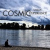 Cosmic Experience