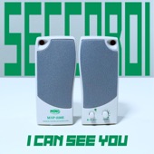 I Can See You (Radio Edit) artwork
