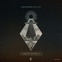 Curated Feelings II - Nada, Renga Weh & Antaares