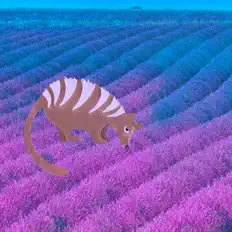 Escucha a Sleepy Numbat, mira videos musicales, lee su biografía, consulta las fechas de las gira y más.