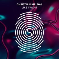 Like I Want - Single - Christian Meldal
