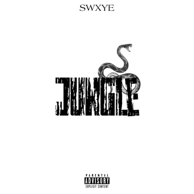 Jungle - Single