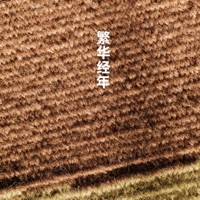 繁华经年 - Single - 沈甜 & 诗生