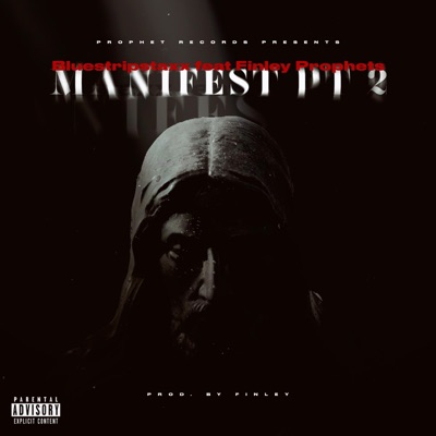 Manifest Pt. 2 (feat. Bluestripstaxx) - Single