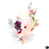 Remember (feat. farewell) - Single - pikaa