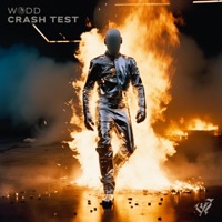 CRASH TEST - EP - Wodd