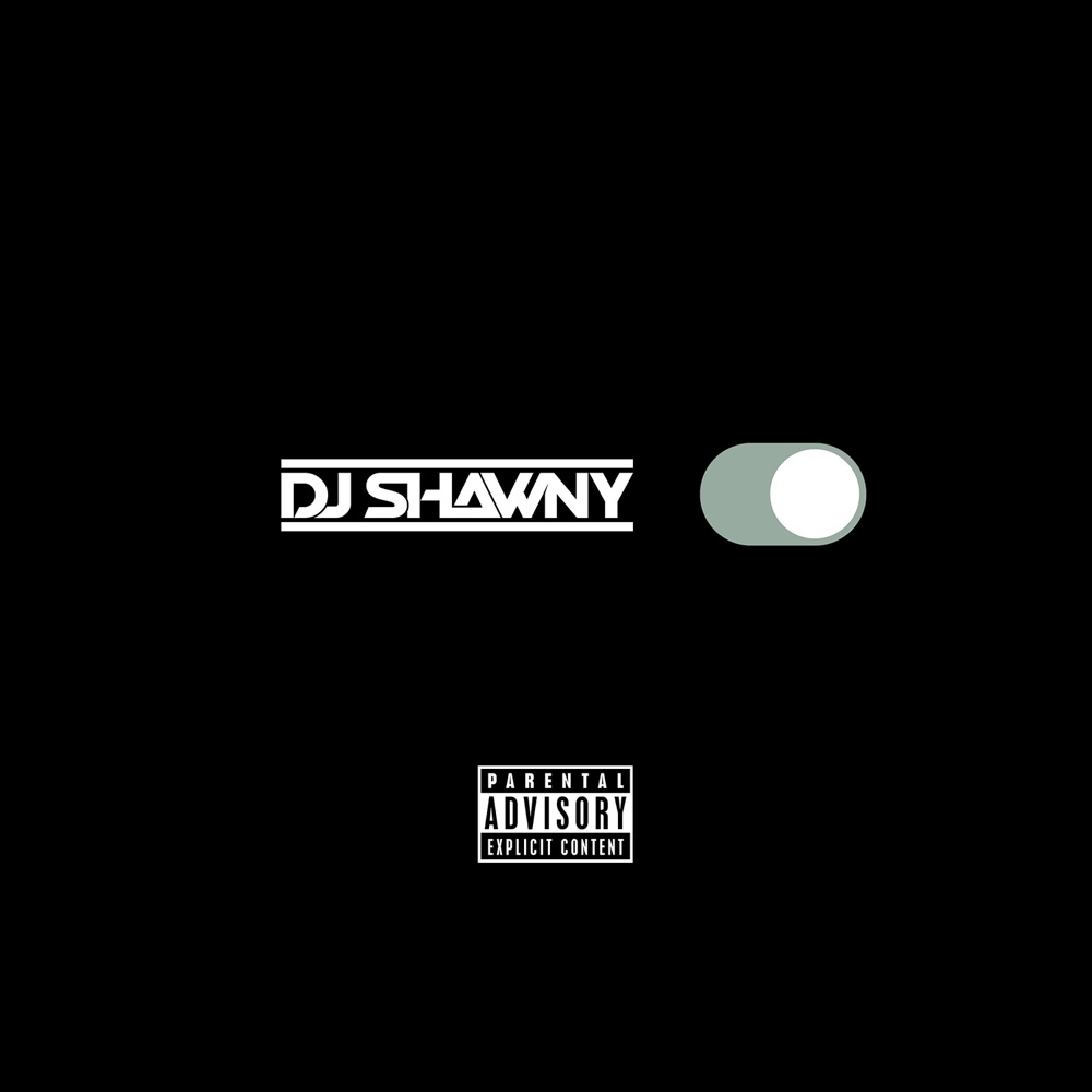 Обложка альбома «Do Not Disturb» — DJ Shawny