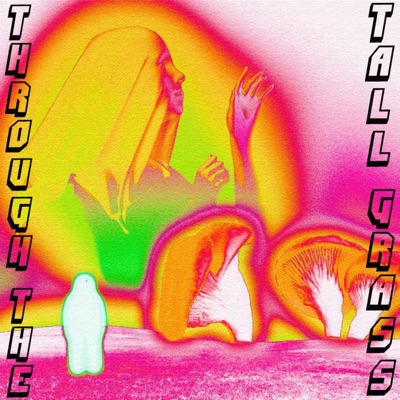 Through the Tall Grass (feat. Sin3) - Single