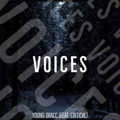 VOICES (feat. CRITICAL) - Single