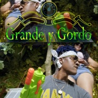 Grande y Gordo - Single - Beltranisimo