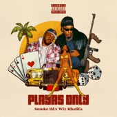 Playa's Only (feat. Wiz Khalifa) artwork