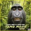 Tamo Mono (Remix) - Single