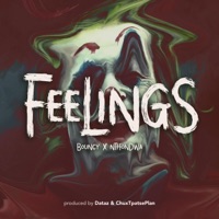 Feelings (feat. Nthondwa) - Single - Bouncy
