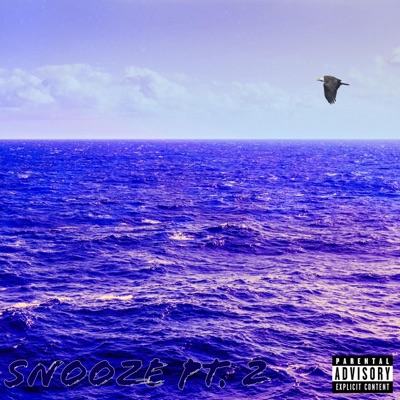 SNOOZE, Pt. 2 - Single