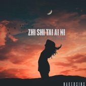Zhi Shi Tai Ai Ni (Remix) artwork