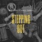 Stepping Out (feat. Kwesi rankz) - Big Chris lyrics