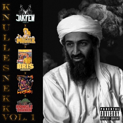 Al-Baida (Knullesnekk) (feat. Psykoteket, BIFFEN, Lil Jackie, LIL BAB & Lil Jerry) - Single