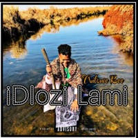 iDlozi Lami (feat. SII VKAY) - Single - Antonie Bee